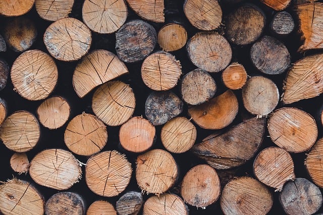 estudiantes universitarios en biblioteca consultando material educativo sobre finanzas personales